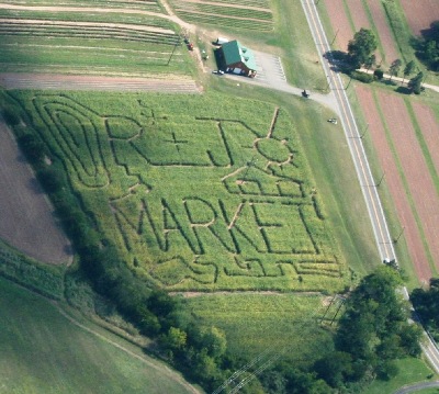 An aerial view of the 2007 6-acre corn maze!