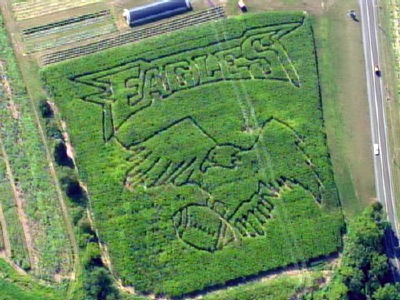 An aerial view of the 2008 6-acre corn maze!